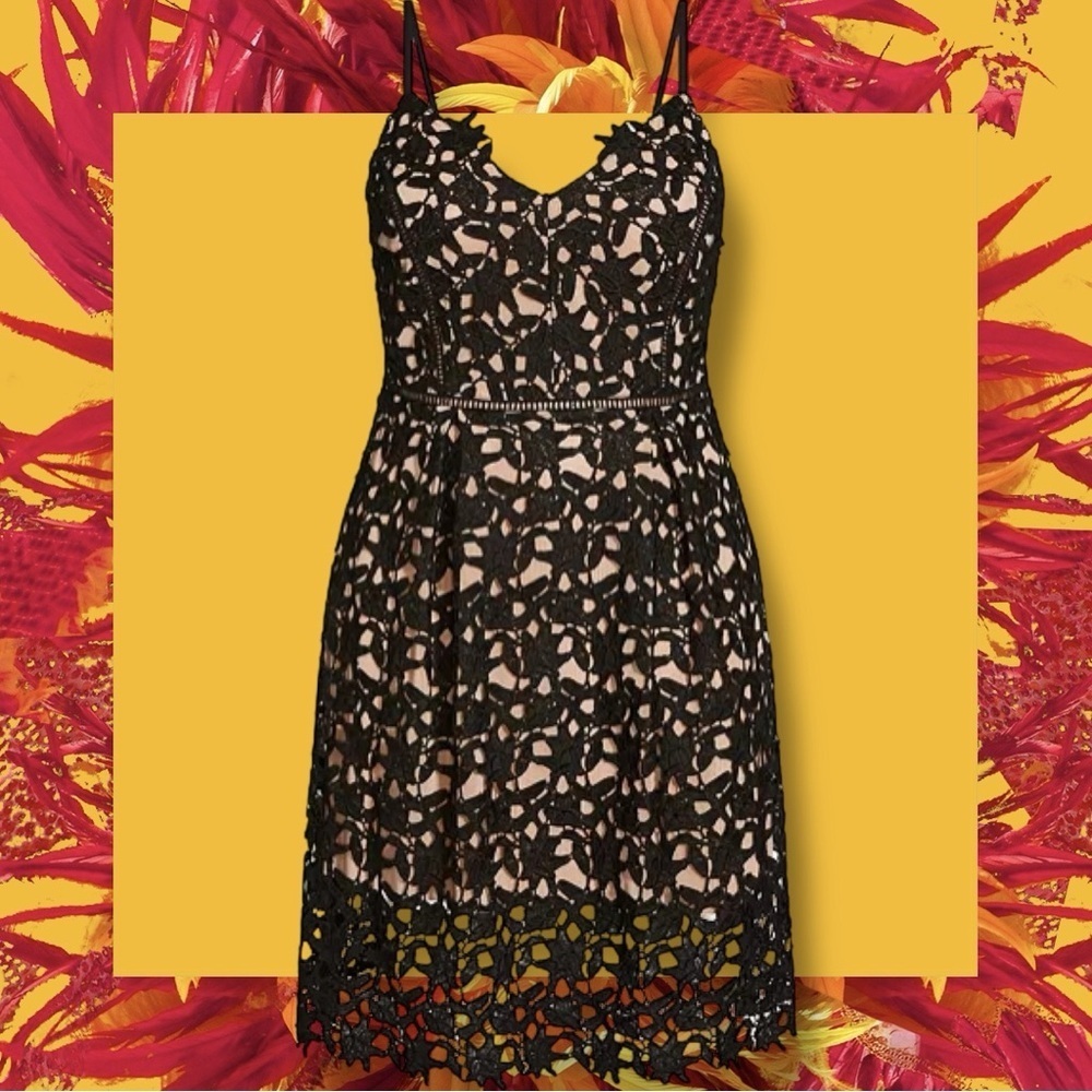 City Chic ‘So Fancy’ Lace Midi Dress in “Black & Beige” Plus Size 24
